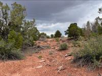A desert landscape with scrub brush and cloudy sky at Velvet Mine site