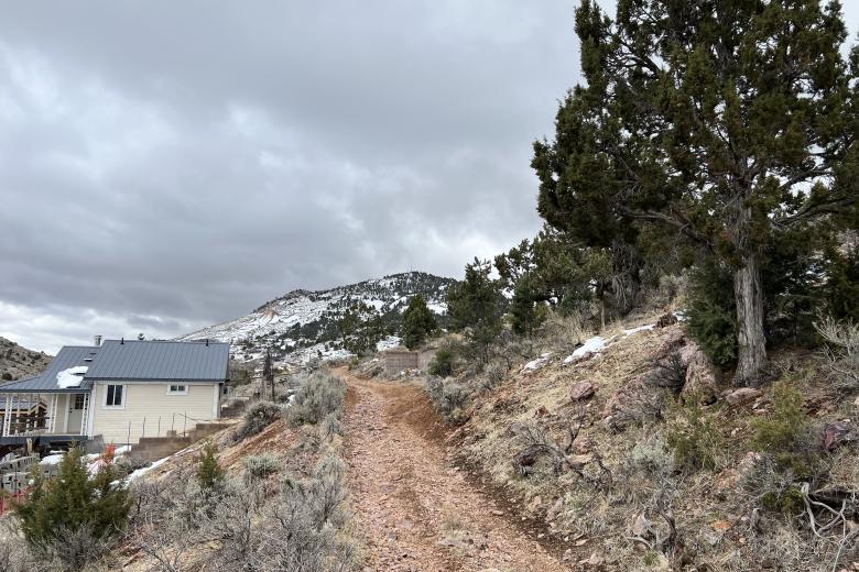 A house sits next to a pathway surrounded by dry vegetation.